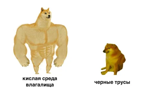 Кислая среда и черные трусы