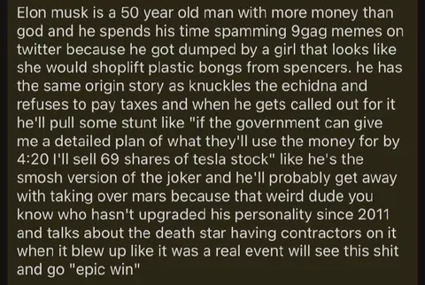 Elon Musk's Absurd Origin Story