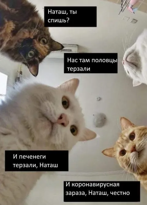 Наташ, ты спишь?