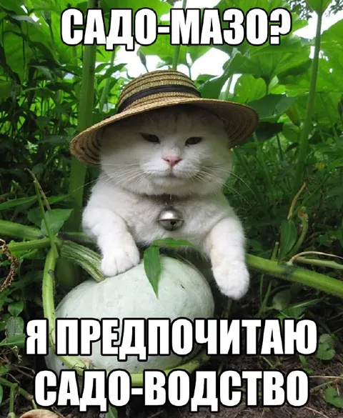 Садо-мазо или садо-водство