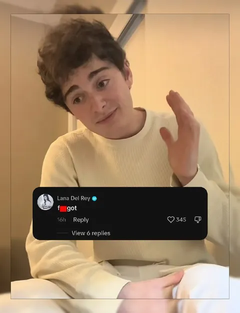 Lana Del Rey comment reaction