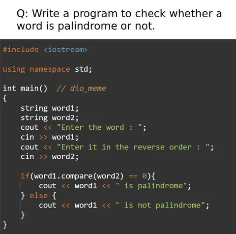 Palindrome Program Checks Itself