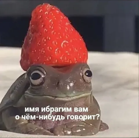 Лягушка Ибрагим с клубникой