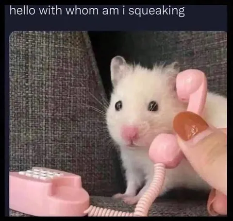 Hello, Whom Am I Squeaking