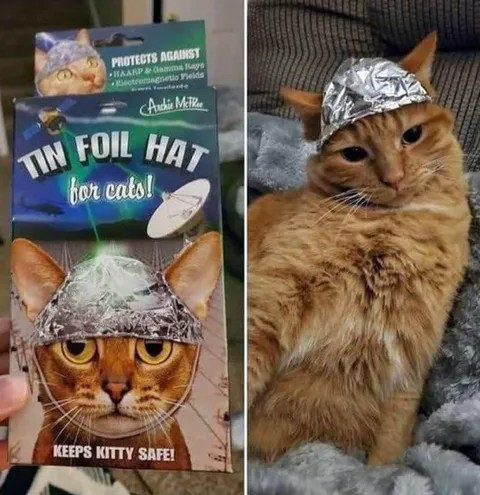 Tin Foil Hat for Cats