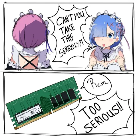 Too Serious RAM Reaction