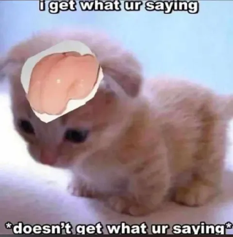 Doesn't Get What You're Saying