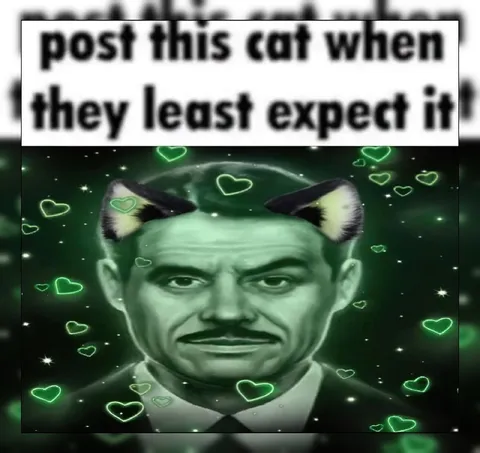 Cat Post When Least Expected