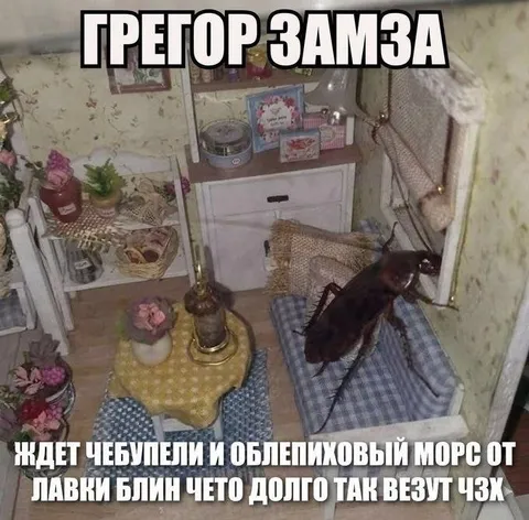 Грегор Замза ждёт чебупели