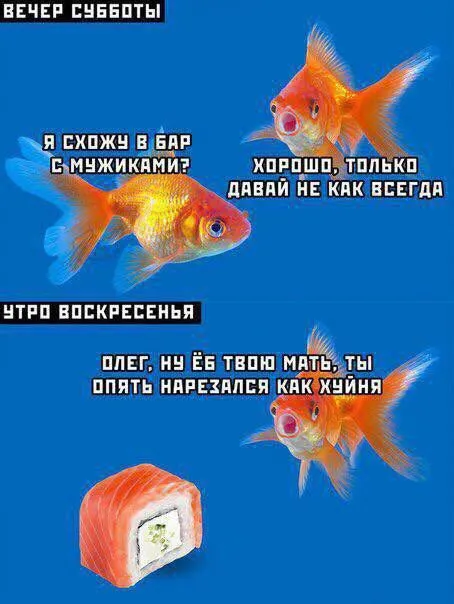 Рыбки после бара