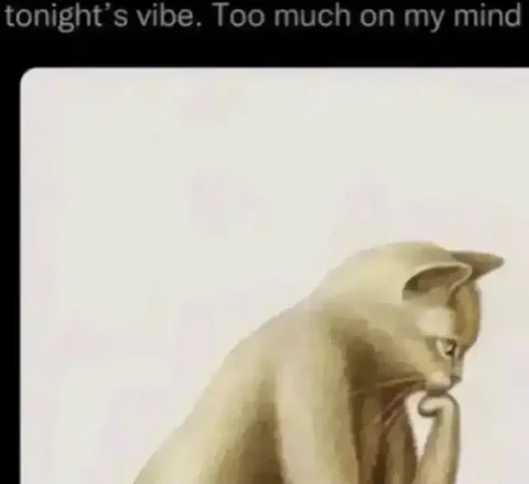 Too Much on My Mind Cat