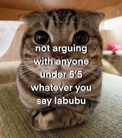 Not Arguing With Anyone Under 5'5