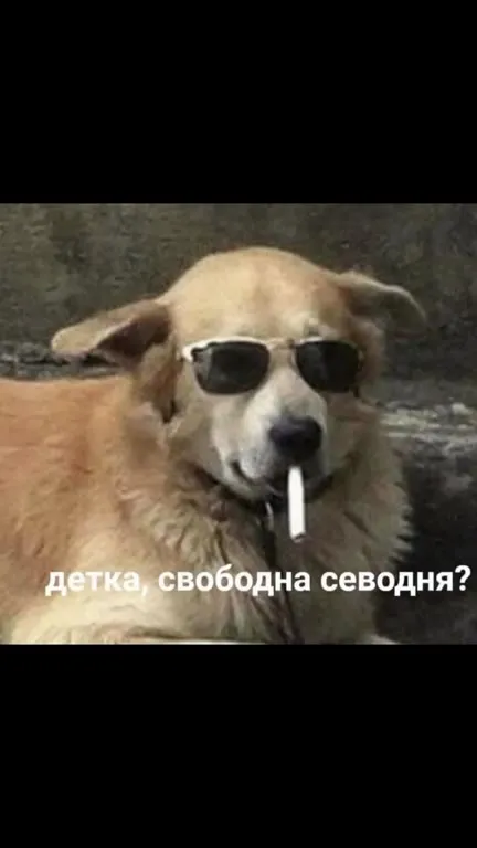 Татуировка закончилась блокировкой