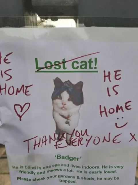 Lost Cat Found at Home