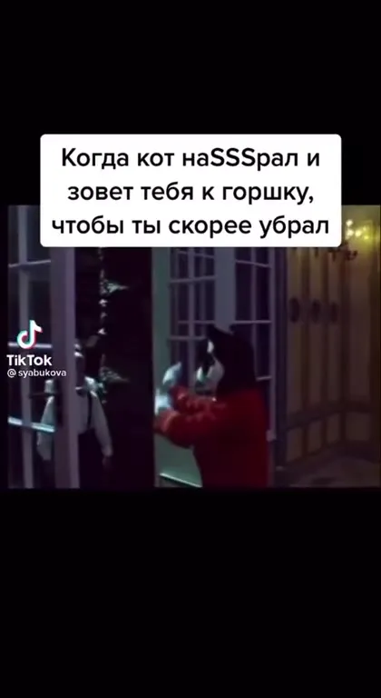 Кот зовёт убрать горшок
