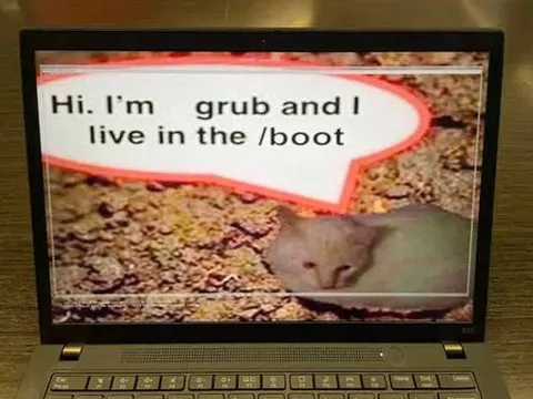 Grub Lives in Boot