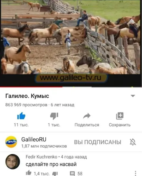 Сделайте про насвай