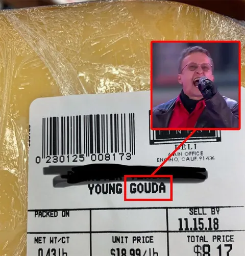 Young Gouda Singer