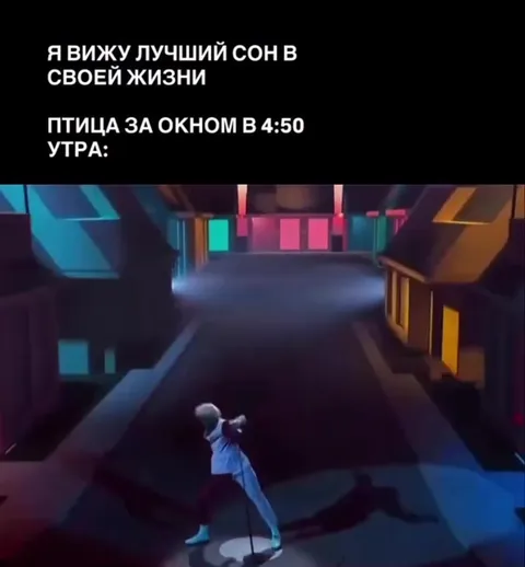 Птица за окном в 4:50 утра