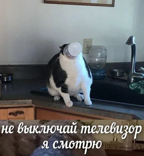 Не выключай телевизор, я смотрю