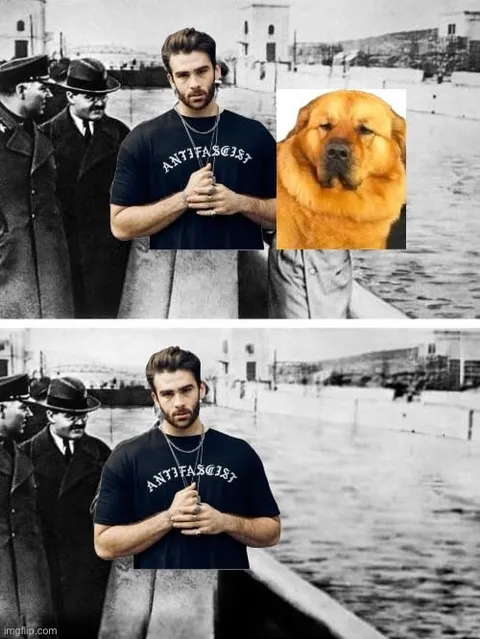 Dog Disappears From the Photo