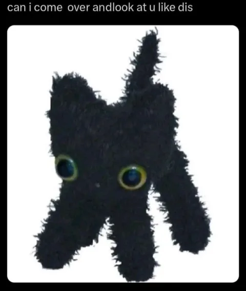 Fuzzy Creature Comes Over