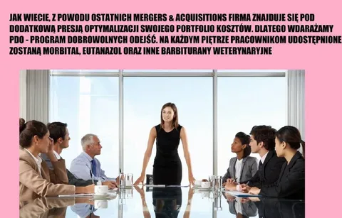 Program dobrowolnych odejść