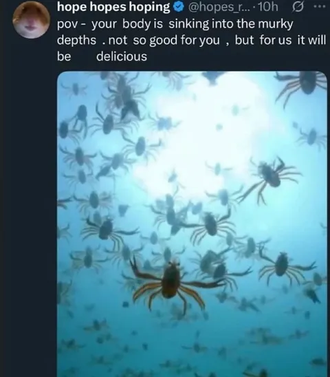 Sinking Into Spider-Infested Water