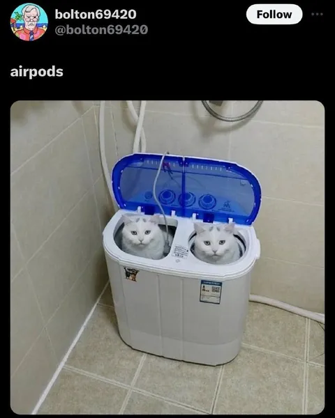 AirPods Cats