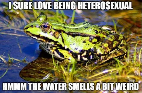 Heterosexual Frog Smells Weird Water