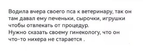Ветеринар старается больше гинеколога