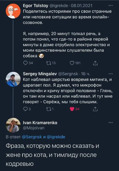 Фраза про кота и тимлида