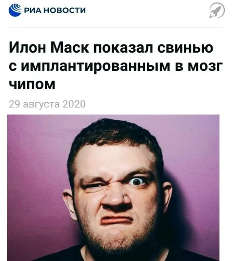 Свинья с чипом в мозге