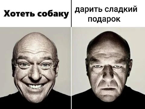 Хотеть собаку и дарить подарок
