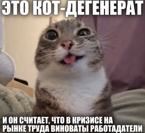 Кот-генерат в кризисе