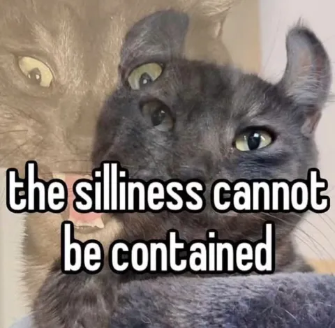 The Silliness Cannot Be Contained
