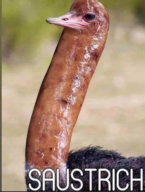 Sausage Ostrich