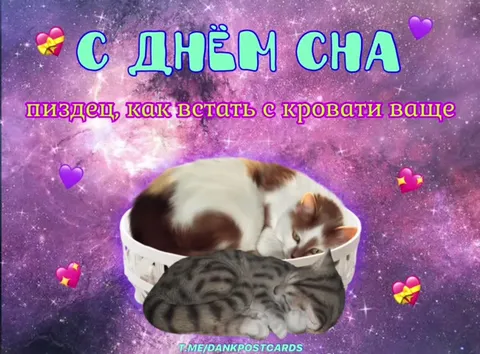 С днём сна, вставать с кровати ваще