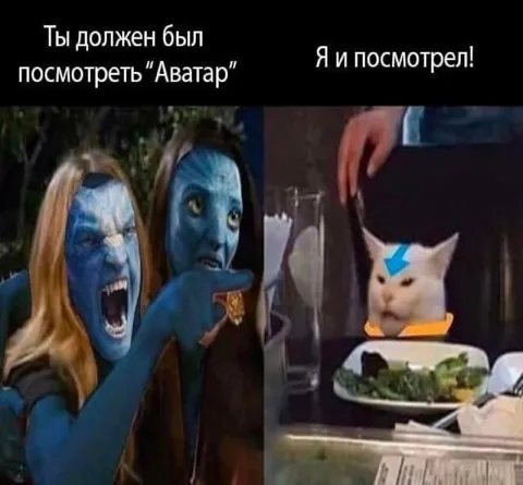 Ты должен был посмотреть «Аватар»