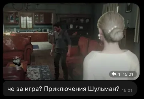 Приключения Шульман