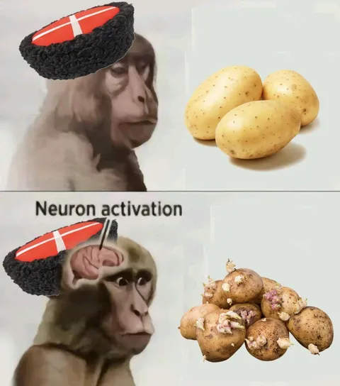 Neuron Activation Potatoes