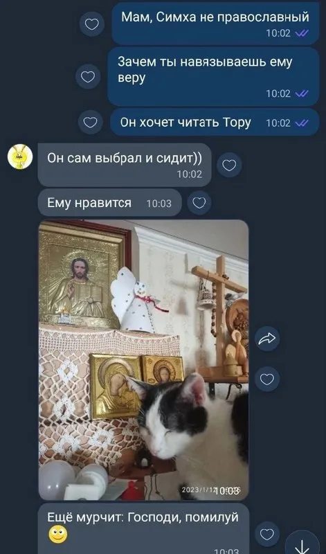 Кот сам выбрал православие
