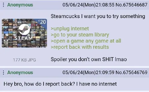 Steam Library Without Internet
