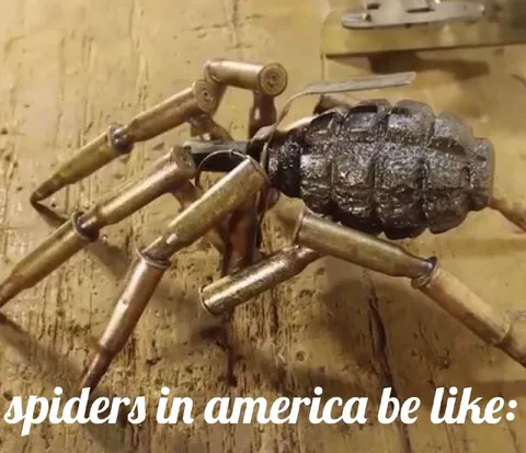 Spiders in America Be Like