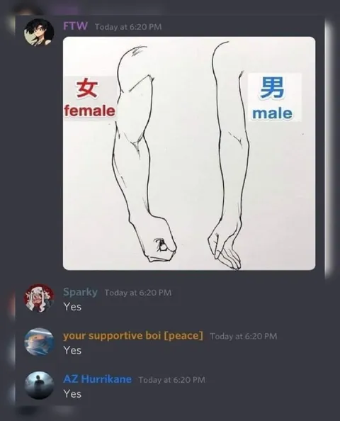 Female and Male Hand Difference