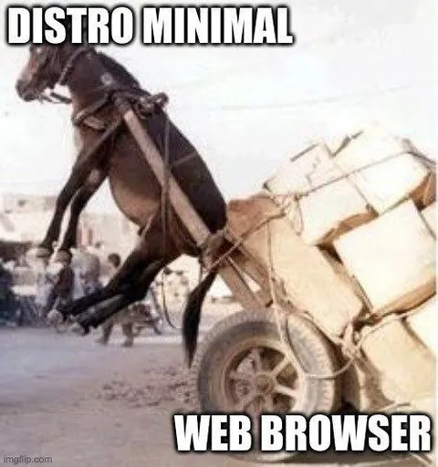 Minimal Distro Web Browser