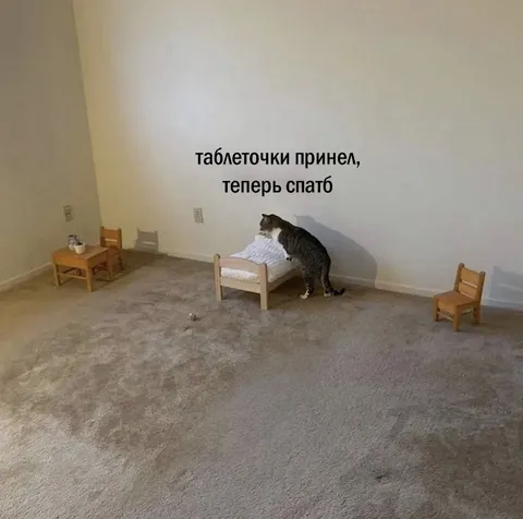 Таблеточки принял — теперь спать