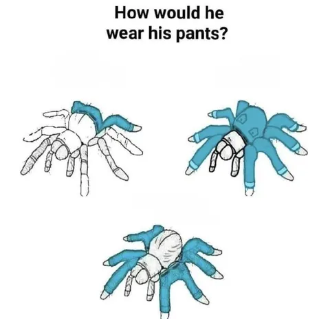 Spider Wearing Pants