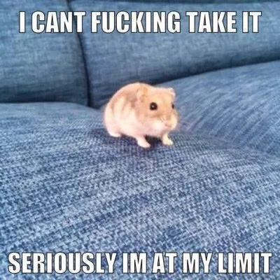 Hamster At My Limit