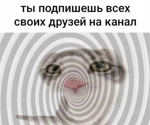 Кот гипнотизирует подписать друзей на канал